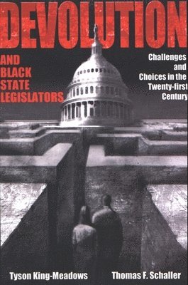 Tyson King-Meadows, Thomas F. Schaller - Devolution and Black State Legislators, Häftad