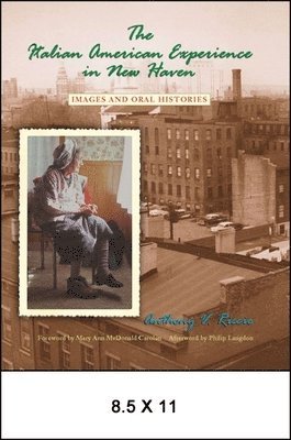 Anthony V. Riccio - Italian American Experience in New Haven, Inbunden