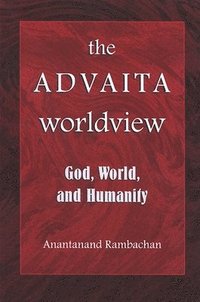 bokomslag The Advaita Worldview