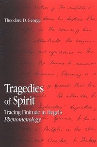 bokomslag Tragedies of Spirit