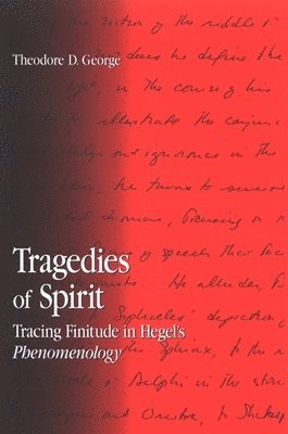 bokomslag Tragedies of Spirit