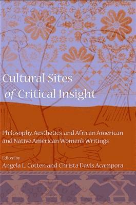 Angela L. Cotten, Christa Davis Acampora - Cultural Sites of Critical Insight, Inbunden