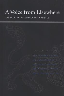 Voice from Elsewhere