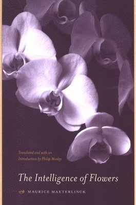 Maurice Maeterlinck - Intelligence of Flowers, Häftad