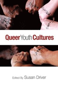 bokomslag Queer Youth Cultures