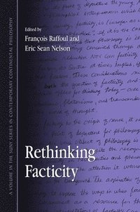 bokomslag Rethinking Facticity