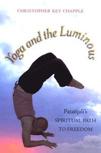 bokomslag Yoga and the Luminous