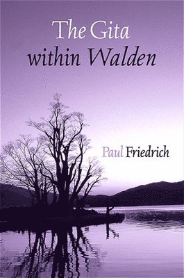 Paul Friedrich - Gita within Walden, Häftad