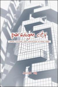 bokomslag Paradigm City