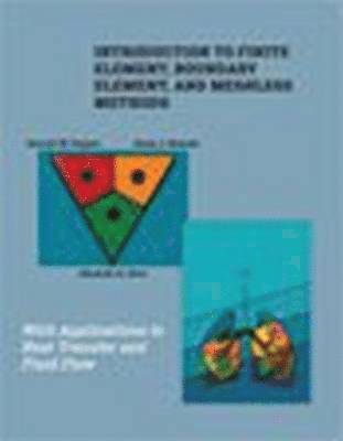 Darrell W. Pepper, Alain Kassab, Eduardo Divo, Alain J. Kassab, Eduardo A. Divo - Introduction to Finite Element, Boundary Element, and Meshless Methods, Inbunden