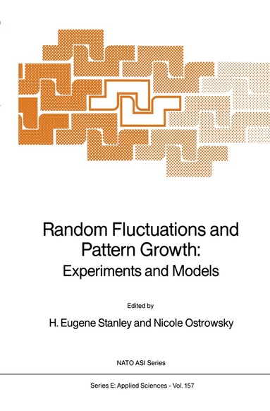 Harry Eugene Stanley, N. Ostrowsky - Random Fluctuations and Pattern Growth: Experiments and Models, Inbunden