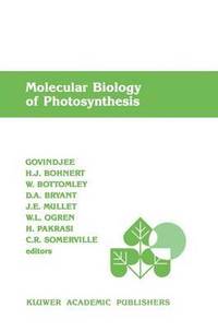 bokomslag Molecular Biology of Photosynthesis
