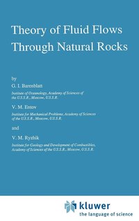 bokomslag Theory of Fluid Flows Through Natural Rocks