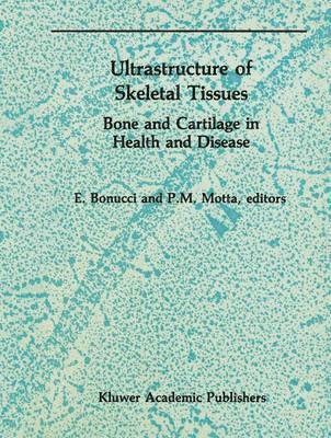 bokomslag Ultrastructure of Skeletal Tissues