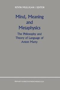 bokomslag Mind, Meaning and Metaphysics
