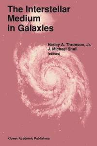 bokomslag The Interstellar Medium in Galaxies