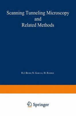 R.J. Behm, N. García, H. Rohrer, R. J. Behm - Scanning Tunneling Microscopy and Related Methods, Inbunden