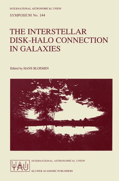 Hans Bloemen - Interstellar Disk-Halo Connection in Galaxies, Inbunden