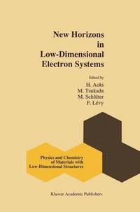 bokomslag New Horizons in Low-Dimensional Electron Systems