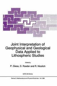 bokomslag Joint Interpretation of Geophysical and Geological Data Applied to Lithospheric Studies