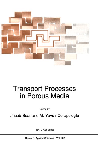 bokomslag Transport Processes in Porous Media