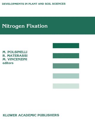 R. Materassi, M. Vincenzini - Nitrogen Fixation, Inbunden