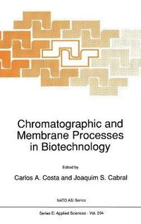 bokomslag Chromatographic and Membrane Processes in Biotechnology