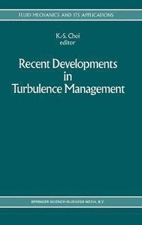 bokomslag Recent Developments in Turbulence Management