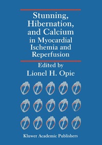 bokomslag Stunning, Hibernation, and Calcium in Myocardial Ischemia and Reperfusion