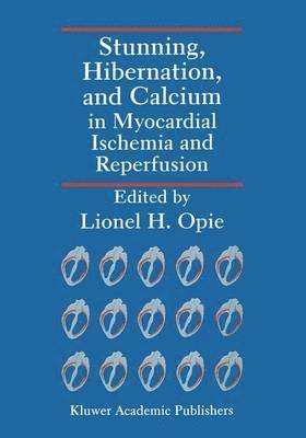 Stunning, Hibernation, and Calcium in Myocardial Ischemia and Reperfusion 1