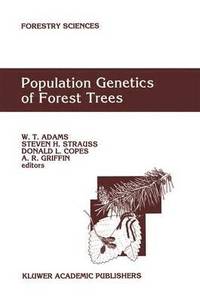 bokomslag Population Genetics of Forest Trees