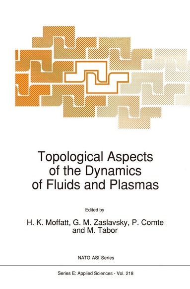 bokomslag Topological Aspects of the Dynamics of Fluids and Plasmas