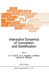 bokomslag Interactive Dynamics of Convection and Solidification