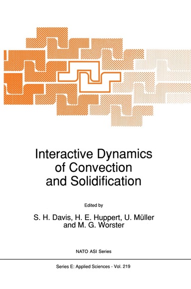 bokomslag Interactive Dynamics of Convection and Solidification