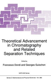 bokomslag Theoretical Advancement in Chromatography and Related Separation Techniques