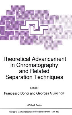 Theoretical Advancement in Chromatography and Related Separation Techniques 1