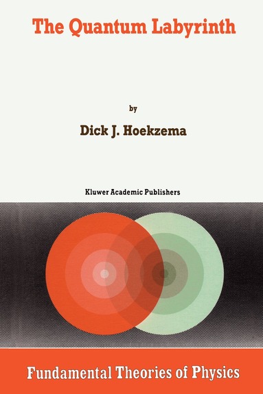 D.J. Hoekzema - Quantum Labyrinth, Inbunden
