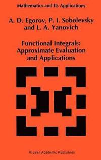 bokomslag Functional Integrals