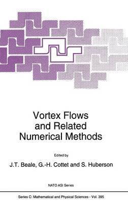 Vortex Flows and Related Numerical Methods 1