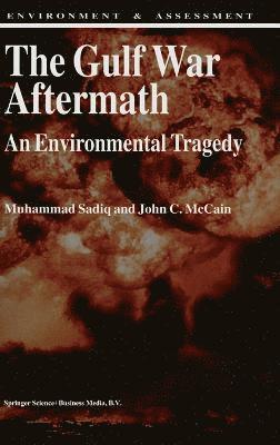 Muhammad Sadiq, John C. McCain, M. Sadiq, J.C. McCain, John C McCain, J C McCain, Muhannad Sadiq, Texas Christian University - Gulf War Aftermath, Inbunden