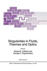 bokomslag Singularities in Fluids, Plasmas and Optics