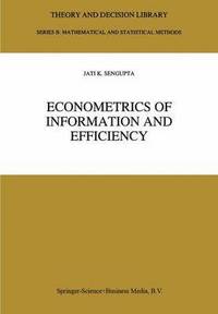 bokomslag Econometrics of Information and Efficiency