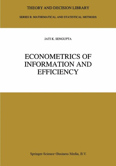bokomslag Econometrics of Information and Efficiency