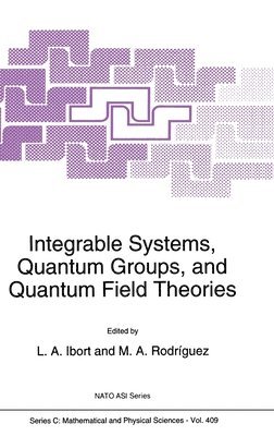 L. A. Ibort, M. A. Rodriguez - Integrable Systems, Quantum Groups and Quantum Field Theories, Inbunden