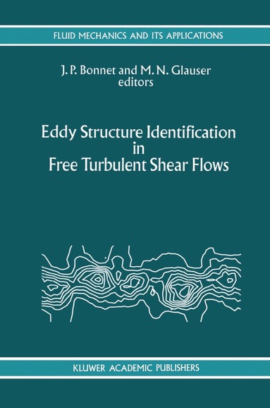 bokomslag Eddy Structure Identification in Free Turbulent Shear Flows