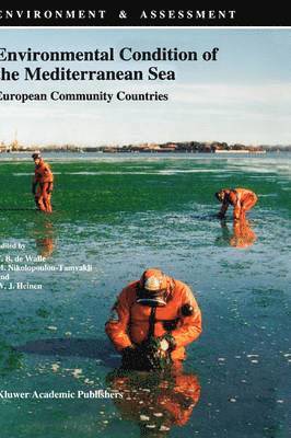 bokomslag Environmental Condition of the Mediterranean Sea