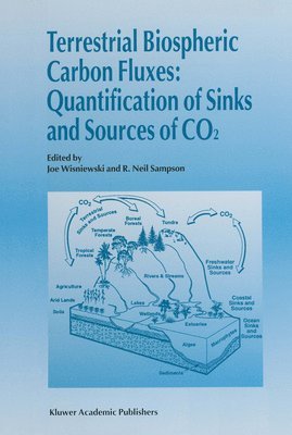 bokomslag Terrestrial Biospheric Carbon Fluxes