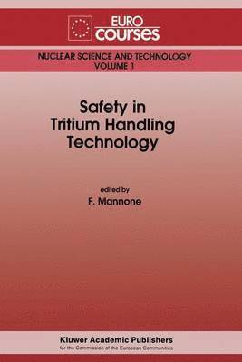 bokomslag Safety in Tritium Handling Technology