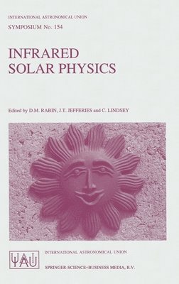 D.M. Rabin, etc., J.T. Jefferies, C. Lindsey, D. M. Rabin, D.M. Rabin, J.T. Jefferies, D M Rabin, J T Jefferies, C. Lindsey - Infrared Solar Physics, Inbunden