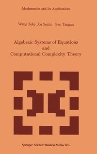 bokomslag Algebraic Systems and Computational Complexity Theory